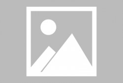 黎塘新闻爆料最新情况查询,事件进展及影响全解析